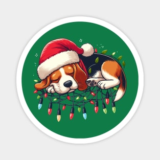 Beagle Dog Sleeping On Christmas Lights Magnet